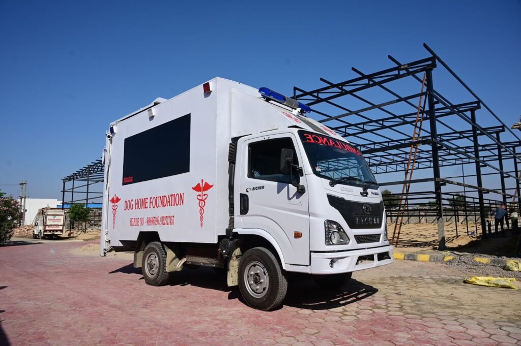 True Hope Foundation बेसहाराओं के लिए उम्मीद का सहारा बन रहा है! 6 img 20231230 wa00448683468534587523101